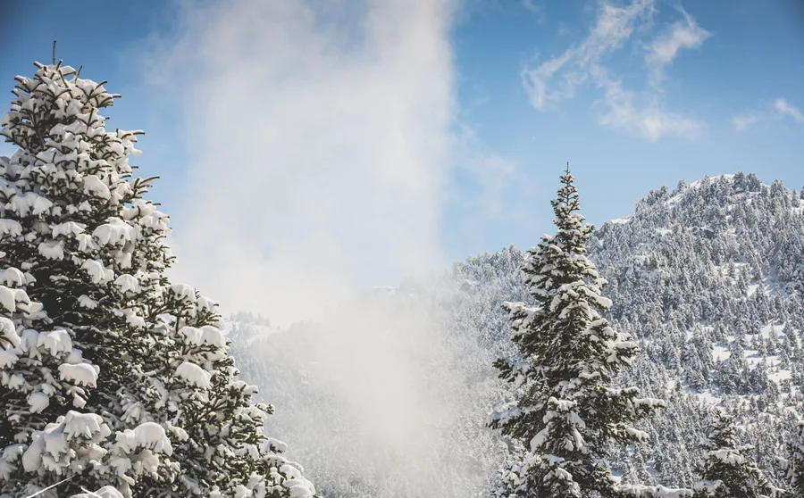 Snowy firs and a ridge through breaking cloud