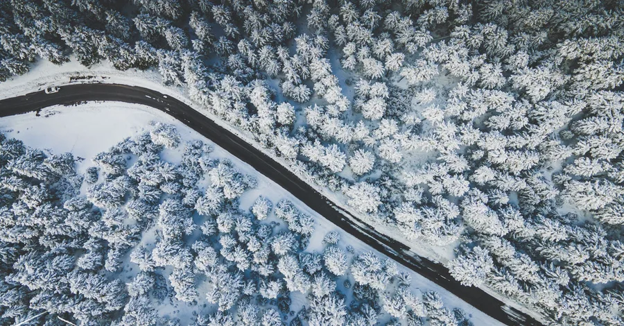 A road curving through snowy firs, from above