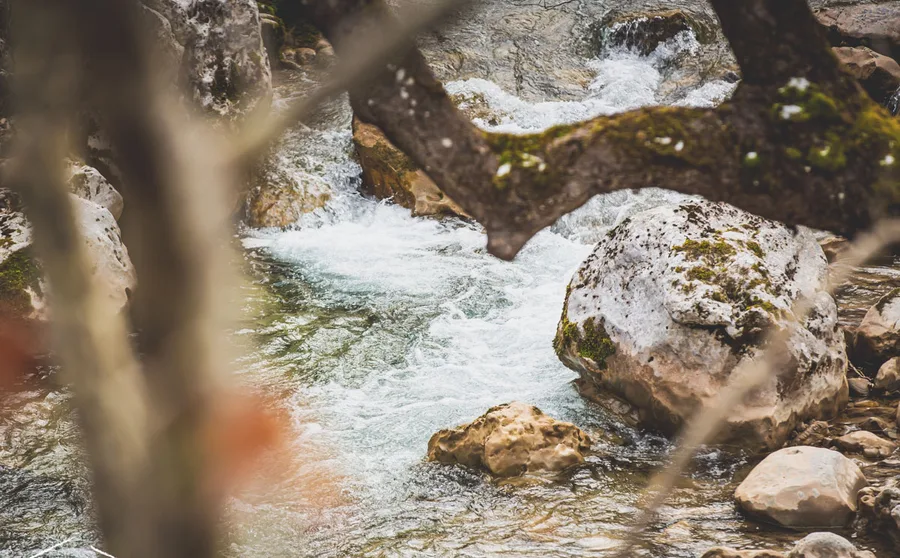 Water rushing between rocks and branches