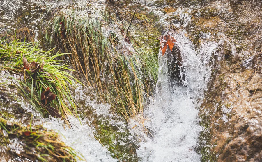 A narrow waterfall among grasses