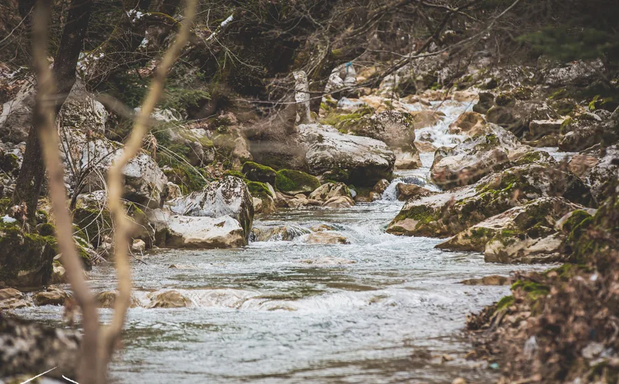 The river among bare trees