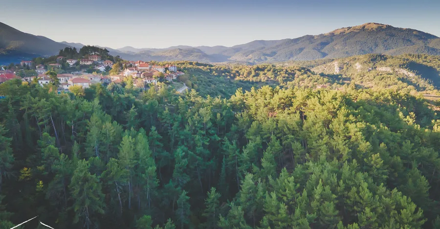 A forested valley with mountains behind