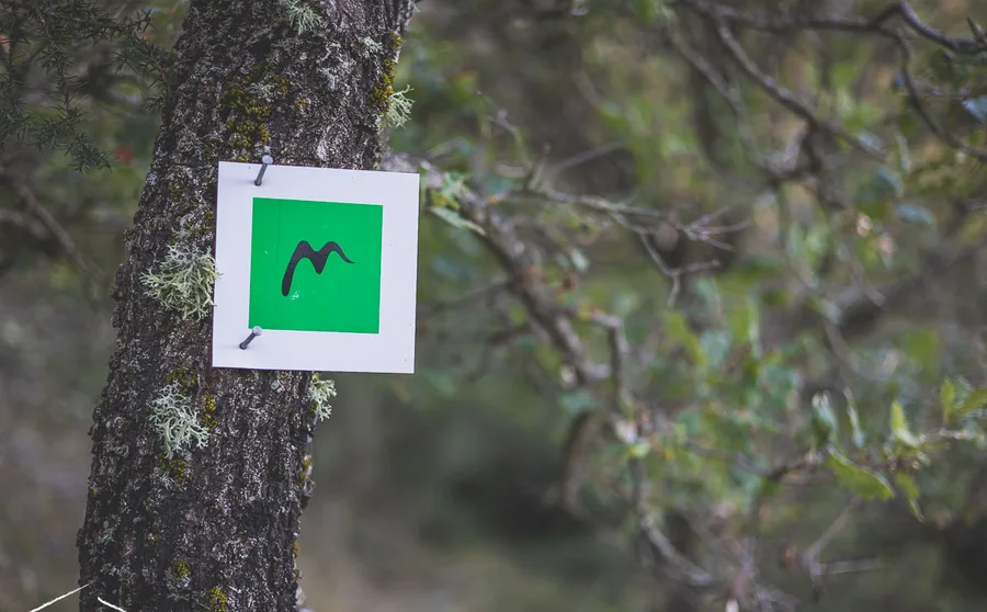 A green Menalon Trail waymark on a trunk
