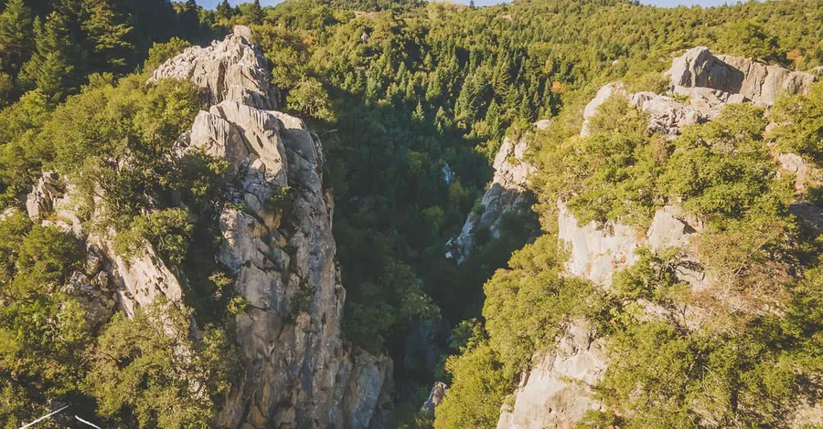 Rock walls of a gorge among pines