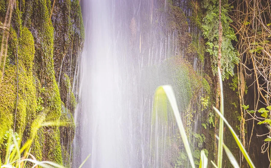 A waterfall over moss
