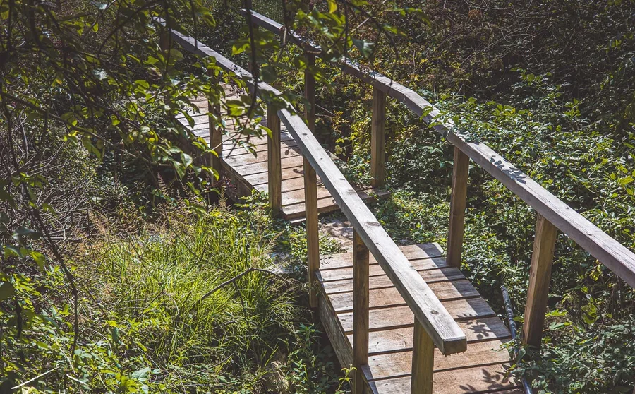 A wooden footbridge in the gorge