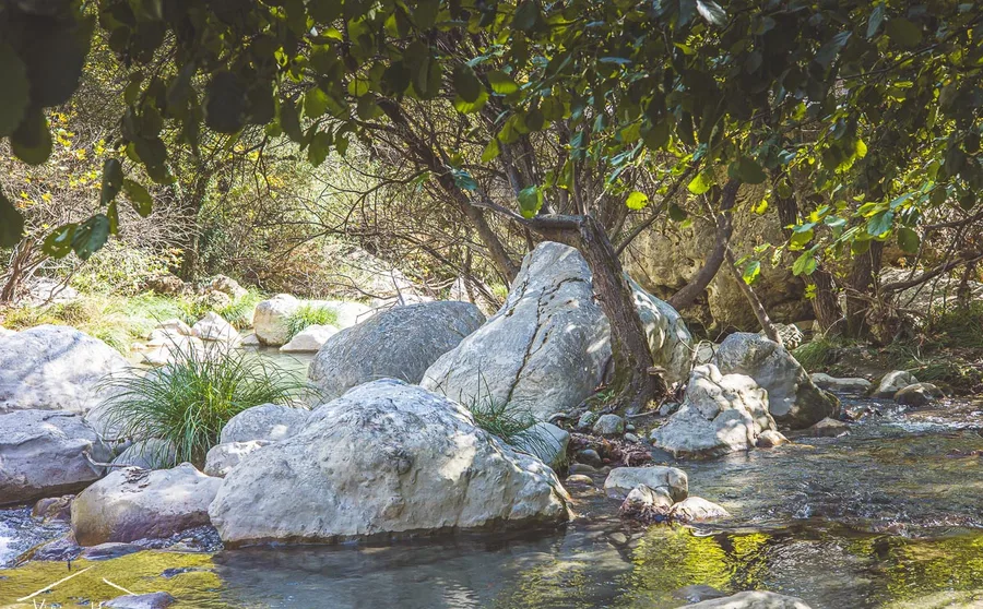 The river among sunlit boulders
