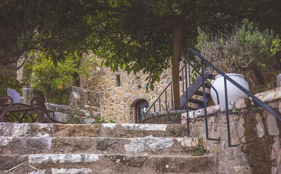 Stone steps up to a monastery