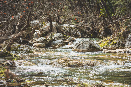 Πεζοπορία στο Menalon Trail κοντα στην βυτίνα