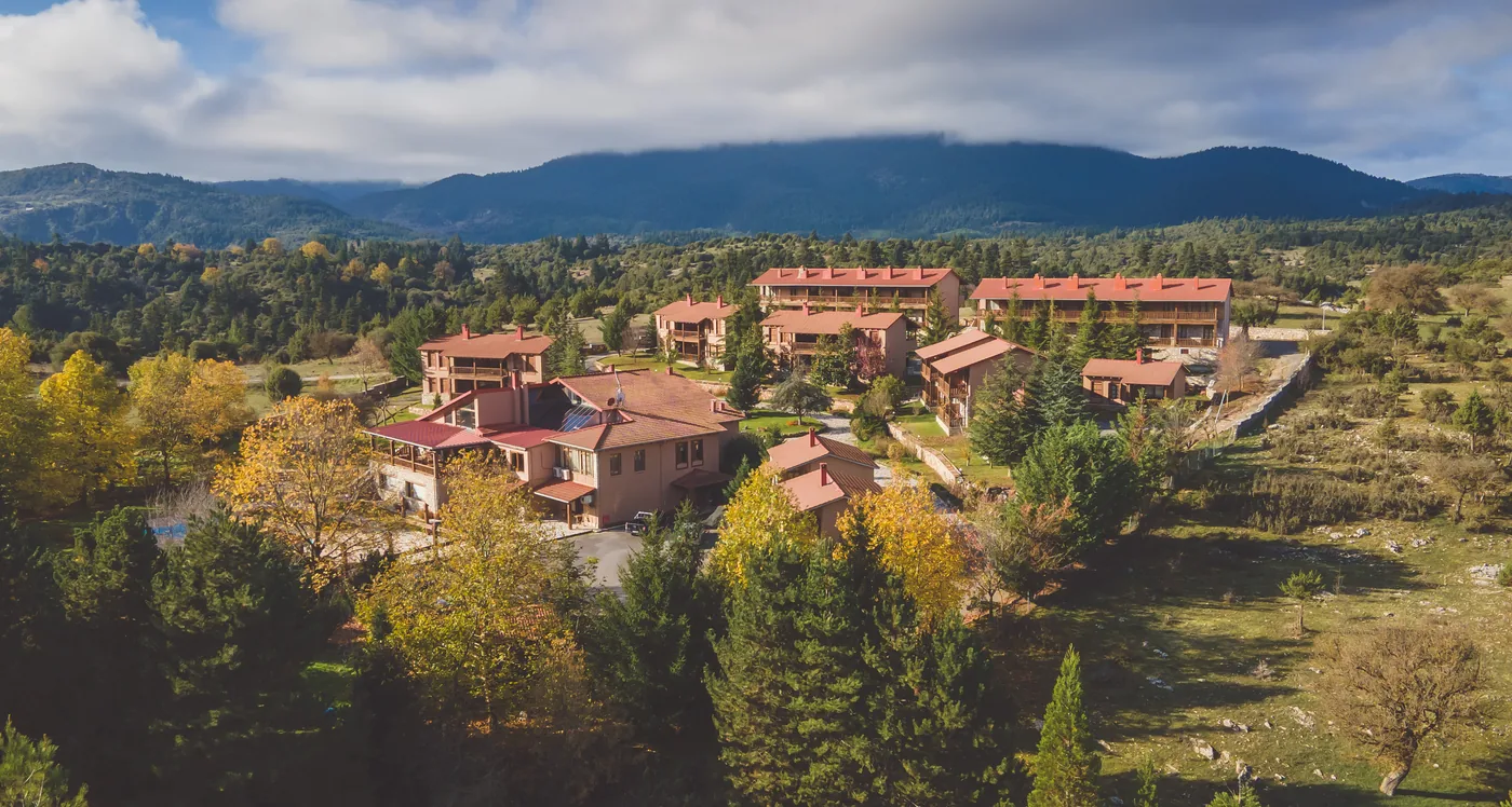 Aerial view of the Vitina House estate: stone buildings, the pool, gardens and the surrounding forest