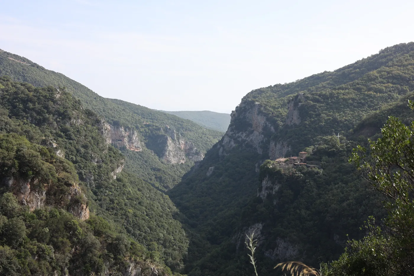 Wide view of the Lousios gorge with steep wooded walls, cliffs and a monastery on a ledge in the distance