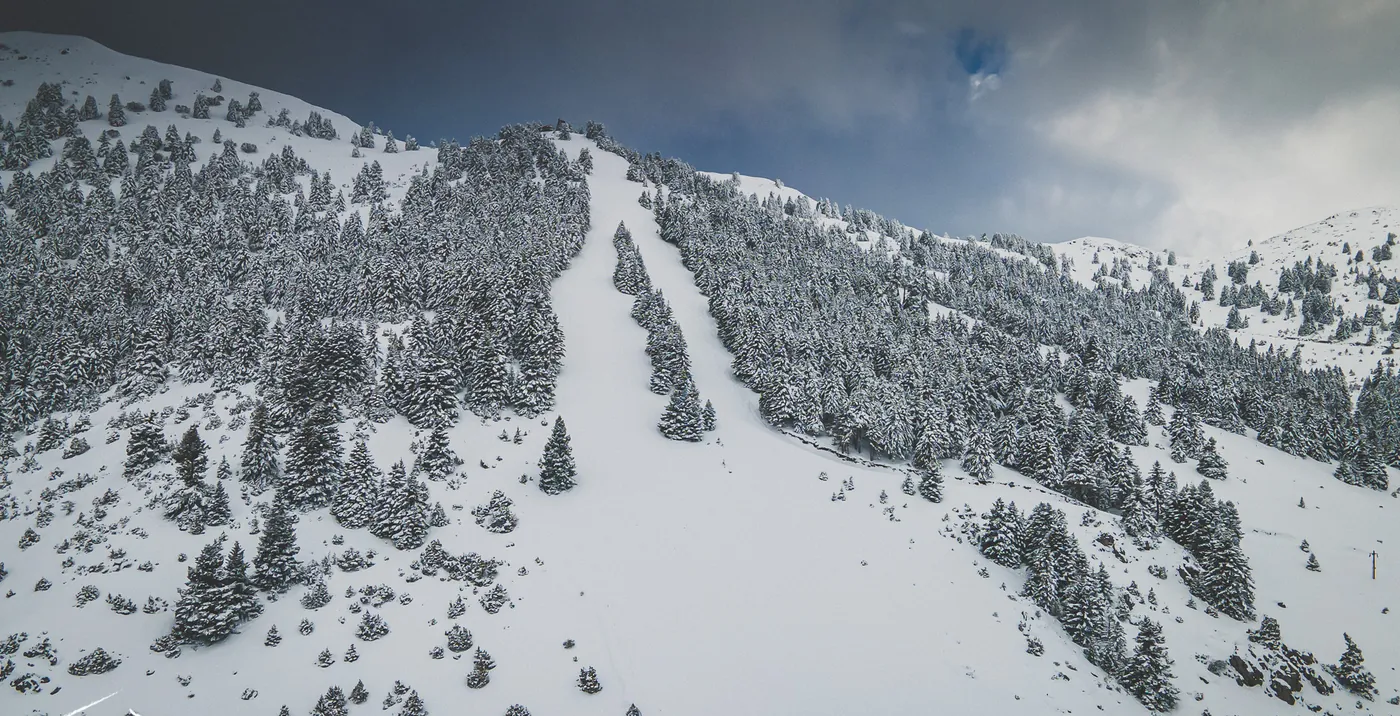 Aerial view of a snow-covered Menalo slope with two cleared ski runs between fir trees