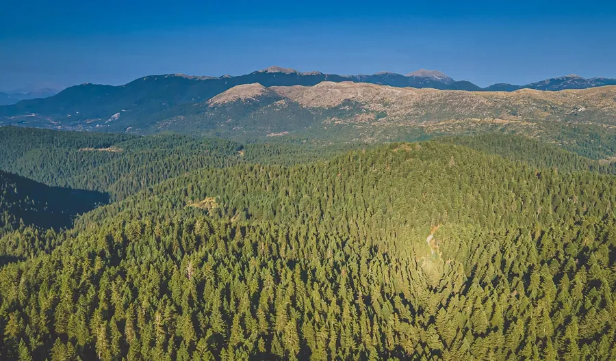 Fir-covered ridges of Menalo under a clear sky