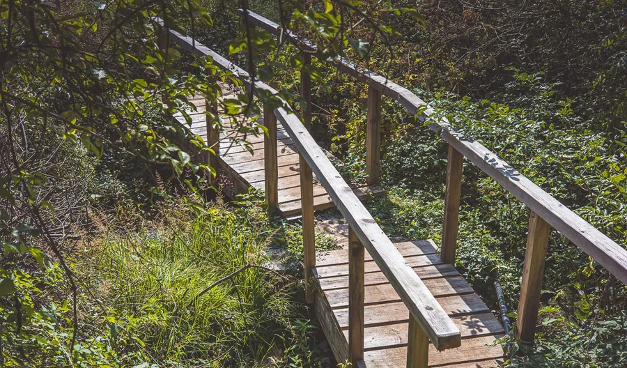 A wooden bridge on the path