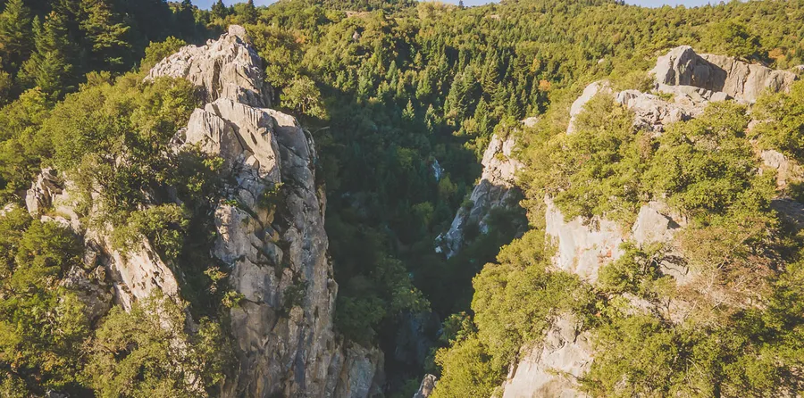 Cliffs and pines seen from above along the trail