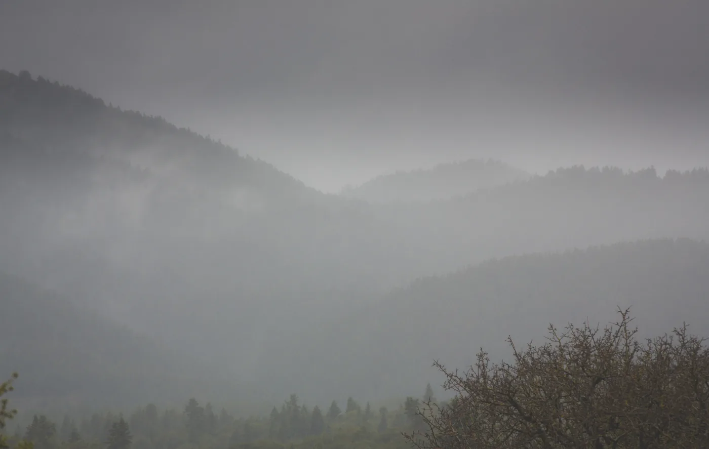 Forested ridges of Menalo under low grey cloud