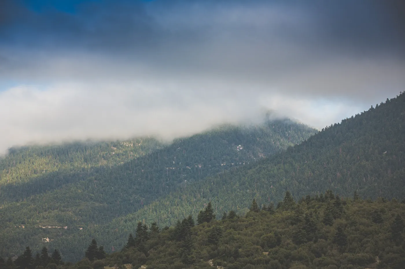 Forested mountain slopes of Menalo with low cloud over the ridge