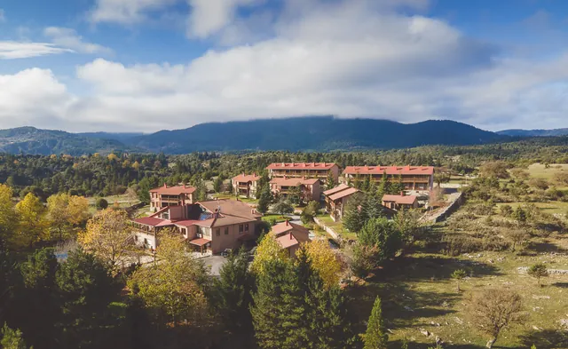 Αεροφωτογραφία του Vitina House και των κτιριακών συγκροτημάτων ανάμεσα στα δέντρα